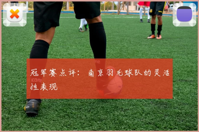 冠军赛点评：南京羽毛球队的灵活性表现