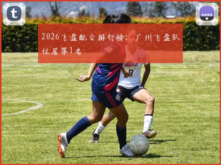 2026飞盘配合排行榜：广州飞盘队位居第1名