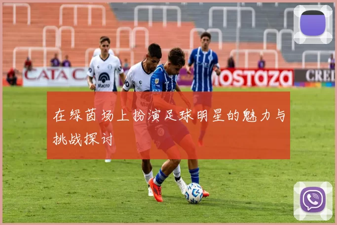 在绿茵场上扮演足球明星的魅力与挑战探讨