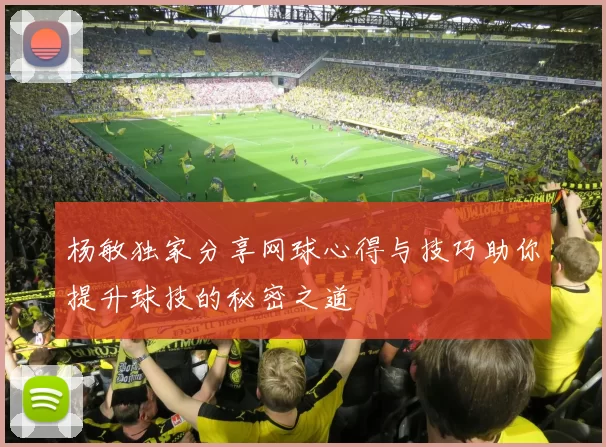 杨敏独家分享网球心得与技巧助你提升球技的秘密之道