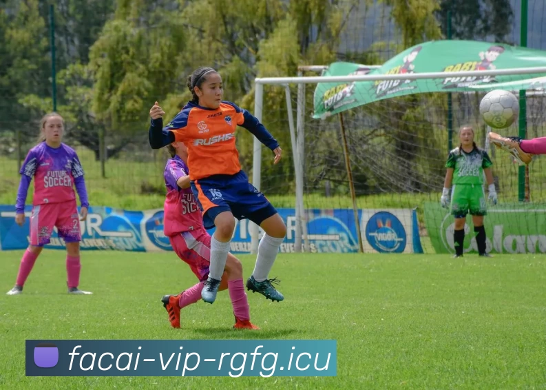 乐鱼体育平台生态图